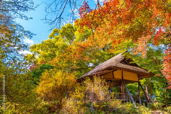 Obraz 東京都文京区 秋の六義園、つつじ茶屋