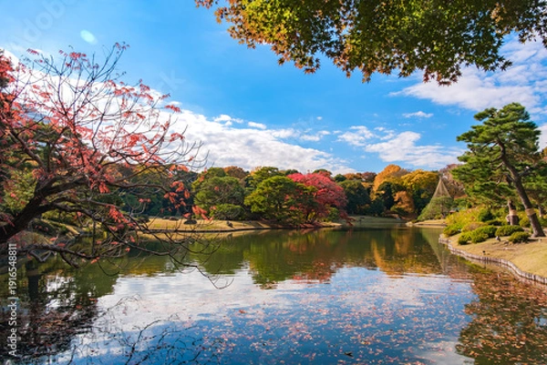 Obraz 東京都文京区 秋晴れの六義園