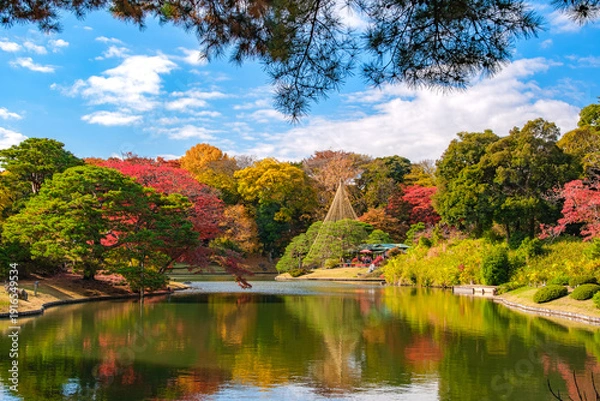 Obraz 東京都文京区 秋晴れの六義園