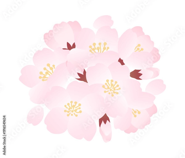 Obraz 桜の花、蕾、花びらのベクターイラスト素材