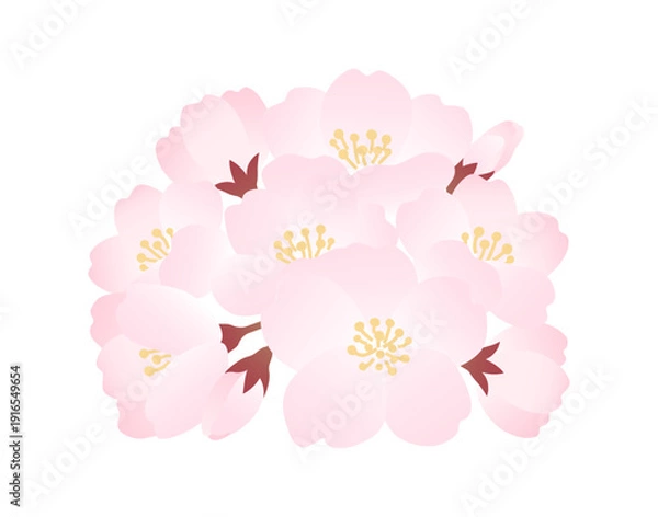 Obraz 春の桜のイラスト素材