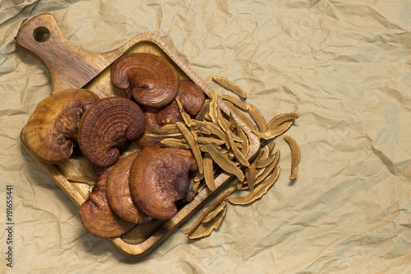 Obraz Lingzhi Mushroom