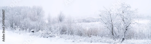 Obraz winter landscape