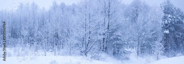 Obraz winter landscape