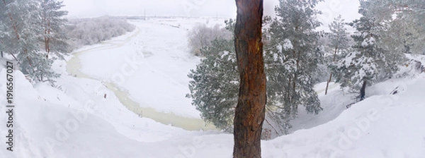 Obraz winter forest.