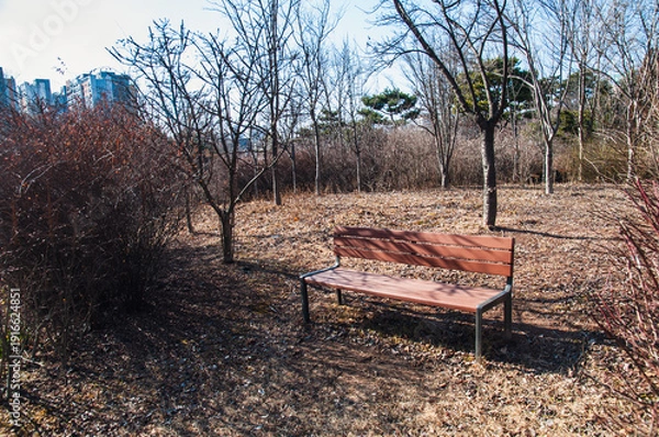 Obraz 공원의 벤치