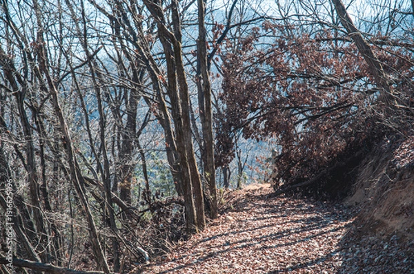 Obraz 산길 너머 양지바른 곳