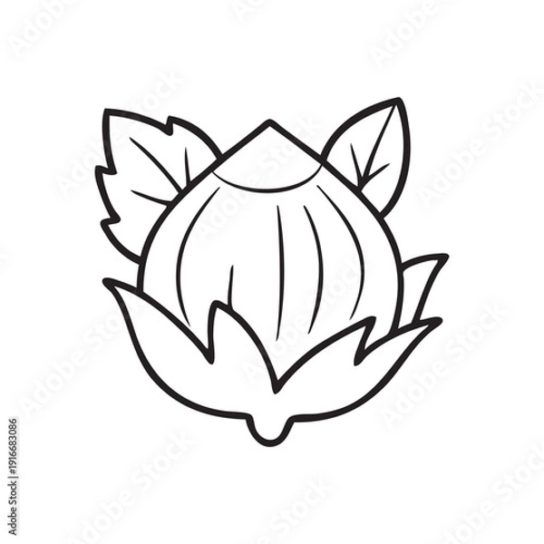 Obraz Hazelnut vector outline. Minimalistic style.
