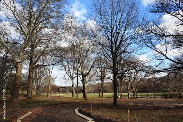 Obraz Prospect park, Brooklyn