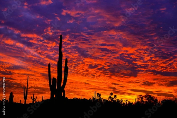Obraz Sunrise - Arizona