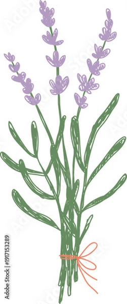 Obraz Lavender Bouquet Tied Sketch