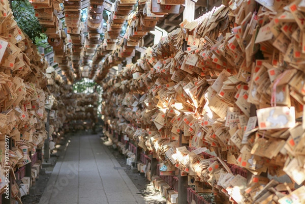 Obraz 沢山の絵馬