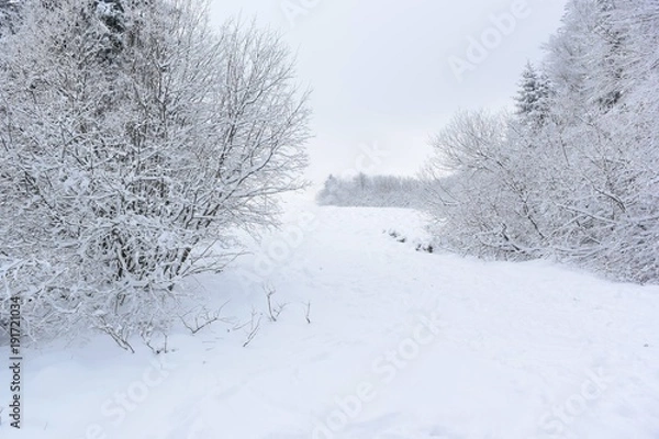 Obraz Paysage neigeux 