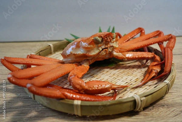 Obraz 日本海の冬の味覚 兵庫県産ベニズワイガニ
