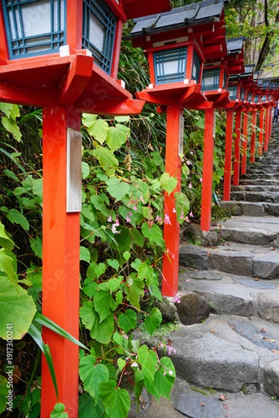 Obraz 京都貴船神社の参道の朱塗りの灯籠