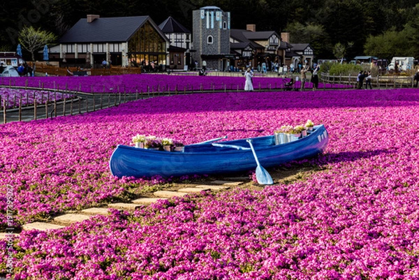 Obraz 山梨県　富士芝桜まつり