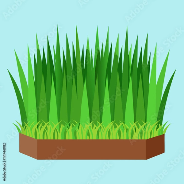 Obraz Fresh Green Tall Grass Border Vector Illustration