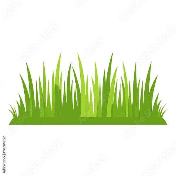 Obraz Fresh Green Grass Border Isolated on White Background – Vector Design