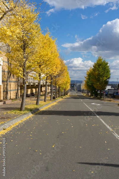 Obraz 秋のイチョウが色づいた並木道