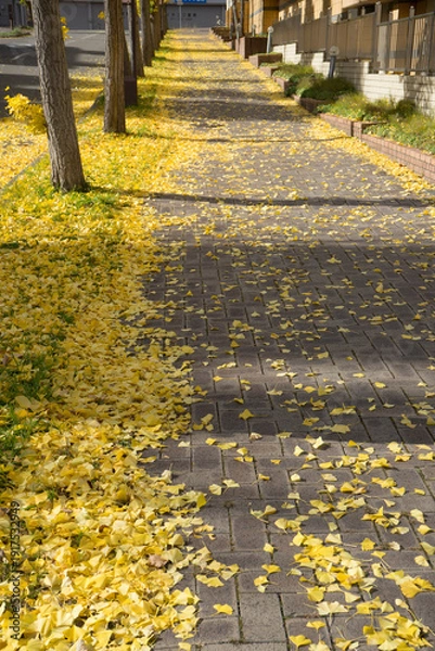 Obraz 秋のイチョウが色づいた並木道