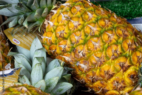 Obraz ripe pineapple tropical fruit closeup background
