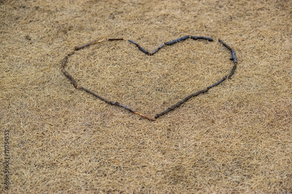 Fototapeta 小さなハート２