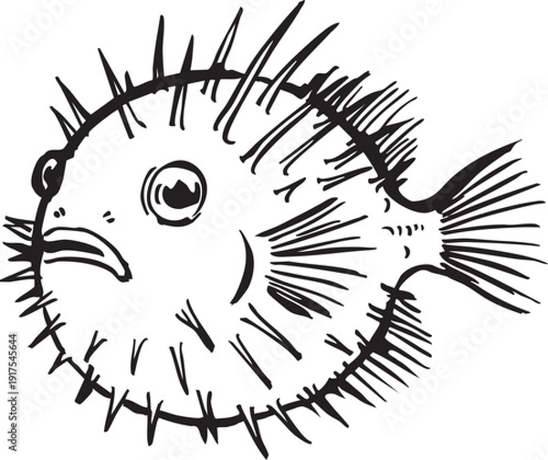 Obraz Pufferfish Sketch Illustration