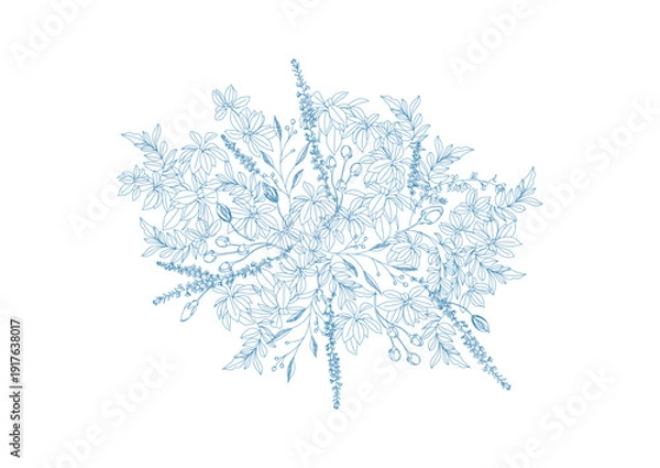 Obraz 美しい植物のボタニカル背景素材　線画、ナチュラル