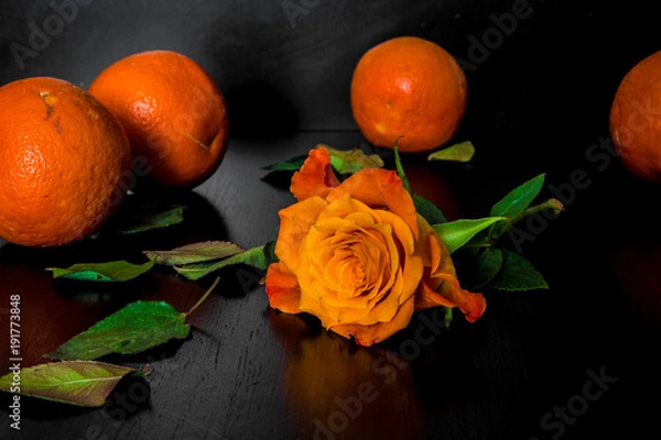 Obraz оранжевая роза и мандарины на черном фоне
