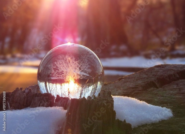 Fototapeta エコイメージ-夕景の冬景色とガラスの木