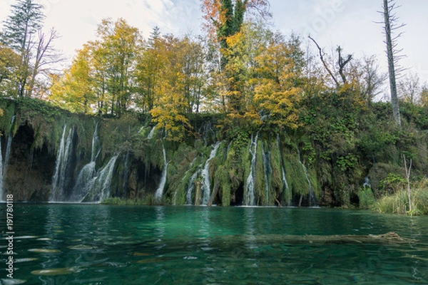 Obraz A green scene with waterfalls flowing into a lake with a sunken tree in the clear water below. The sky is cloudy and the foliage is a lush green.