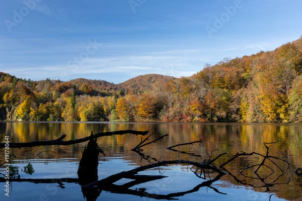 Obraz A fallen tree lies still in a lake early on a fall morning. This was taken in Plitvice Lakes National Park. The surrounding hills are changing colors with the season. Taken in the fall.