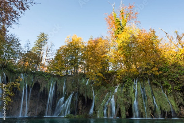 Obraz Golden trees on top of a waterfall in Plitvice Lakes National Park. There are multiple streams of water falling into a lake. Taken in the fall. The trees are changing colors.