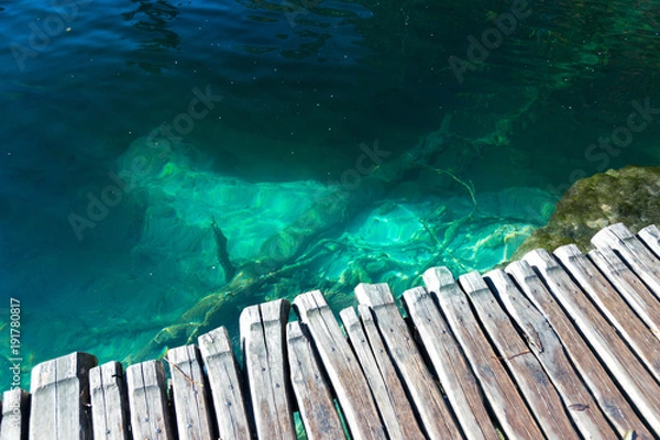 Obraz Very clear turquoise water and a boardwalk in plitvice lakes national park. You can see the sun shining on a few tree that have sunk to the bottom.
