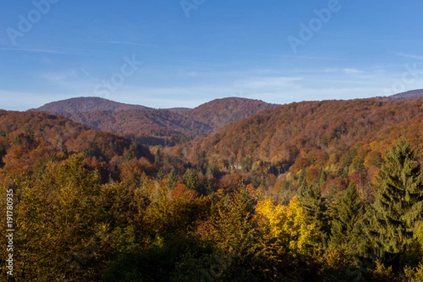Obraz Vast view of fall colors in Europe. Taken at Plitvice Lakes National Park in autumn, the trees were an amazing blend of different vibrant colors. Blue skies, few clouds