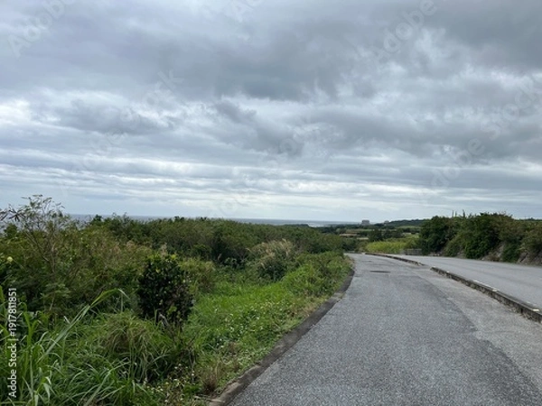 Obraz 宮古島の道