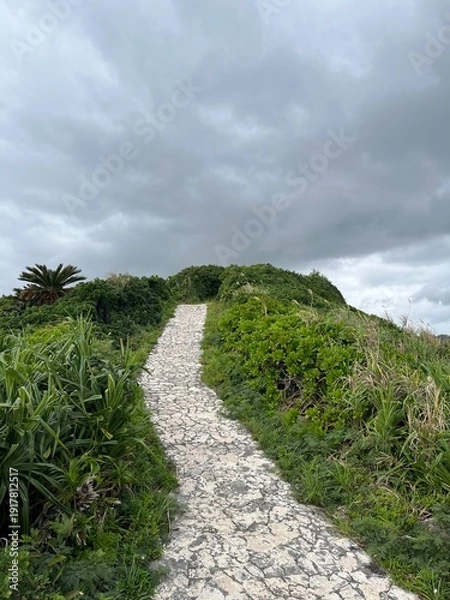 Obraz 宮古島の山に続く道