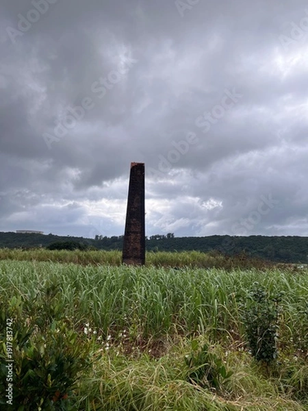 Obraz サトウキビ畑と煙突