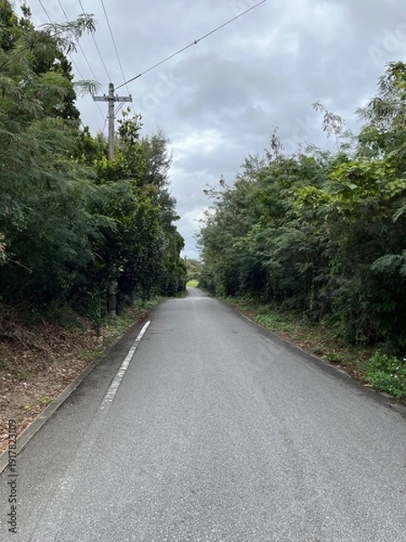 Obraz 宮古島の道