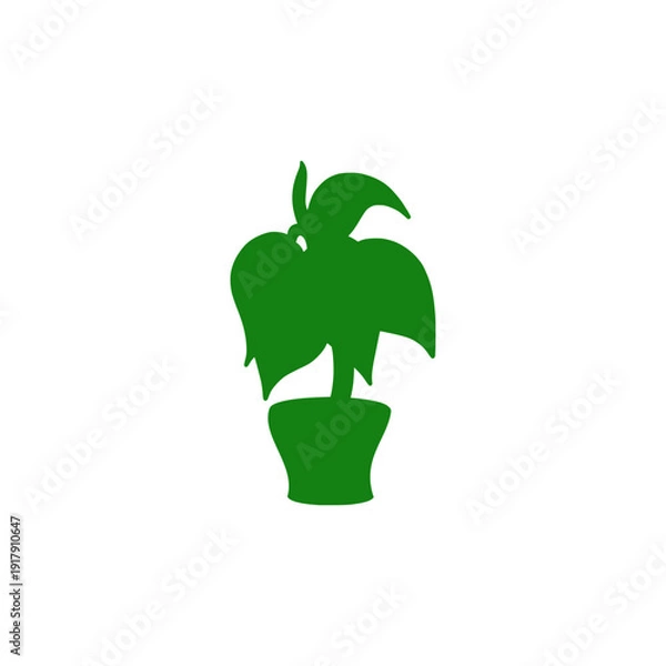 Obraz plant in a pot