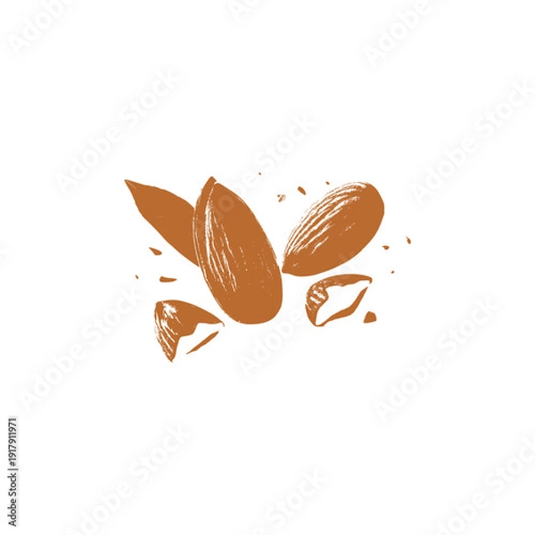 Obraz Almond Vector Illustration Isolated on White Background