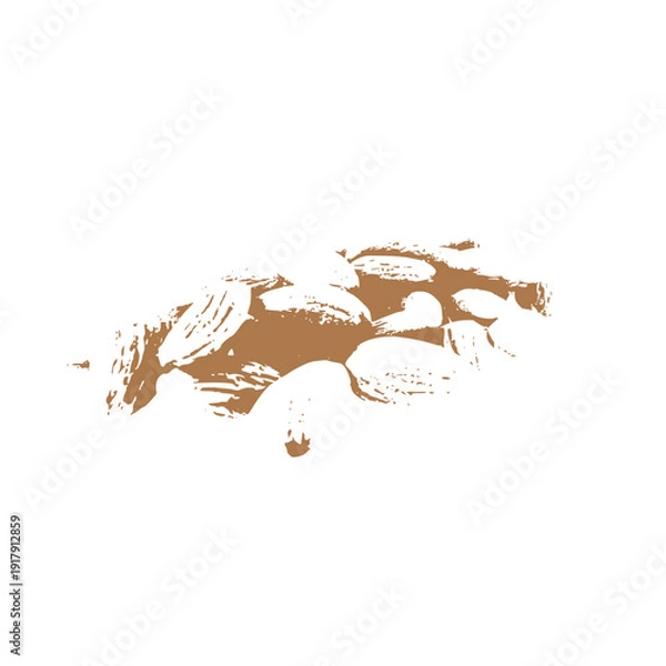 Obraz Realistic Almond Nut Vector Illustration