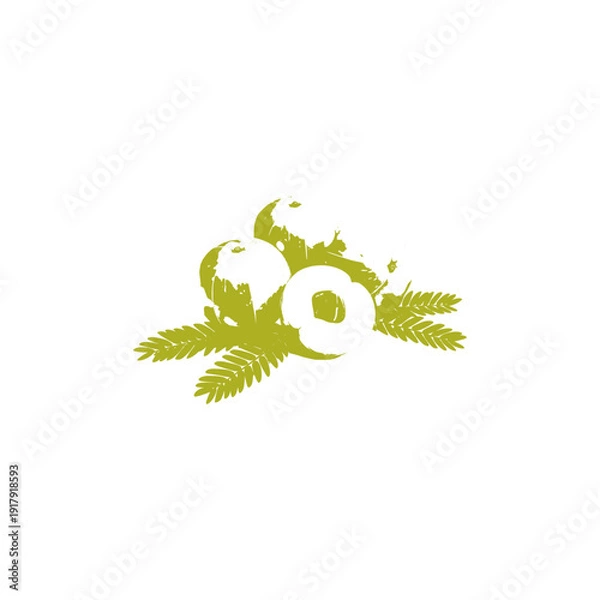 Obraz abstract green background, gooseberry fruit vector design