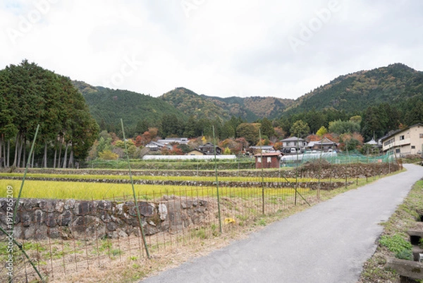 Obraz 日本のノスタルジックな田舎風景