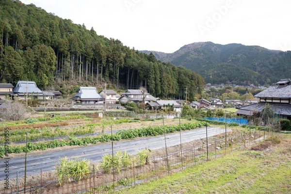 Obraz 日本のノスタルジックな田舎風景