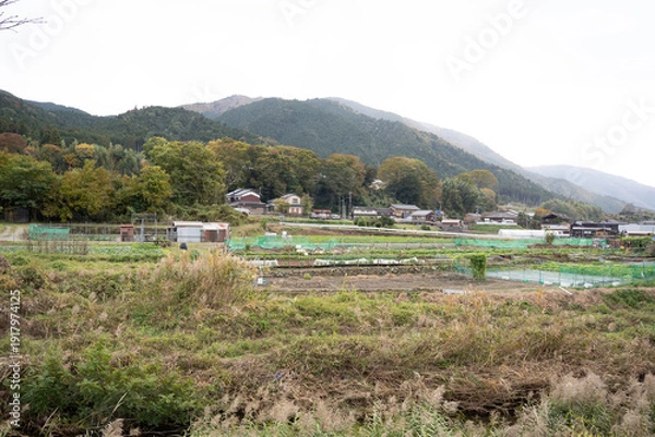 Obraz 日本のノスタルジックな田舎風景