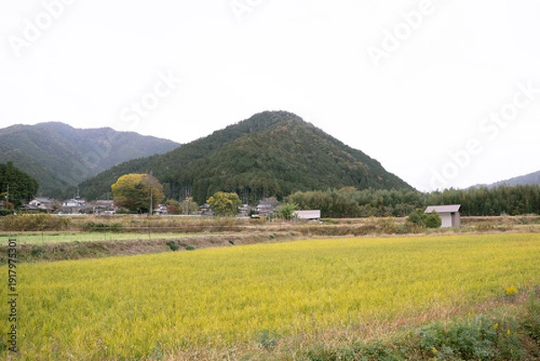 Obraz 日本のノスタルジックな田舎風景