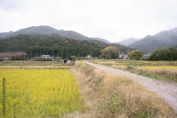 Obraz 日本のノスタルジックな田舎風景
