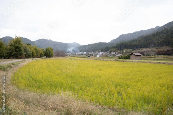 Obraz 日本のノスタルジックな田舎風景