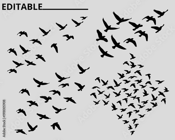 Obraz Minimalist black text displaying vector file on a solid white background for design projects